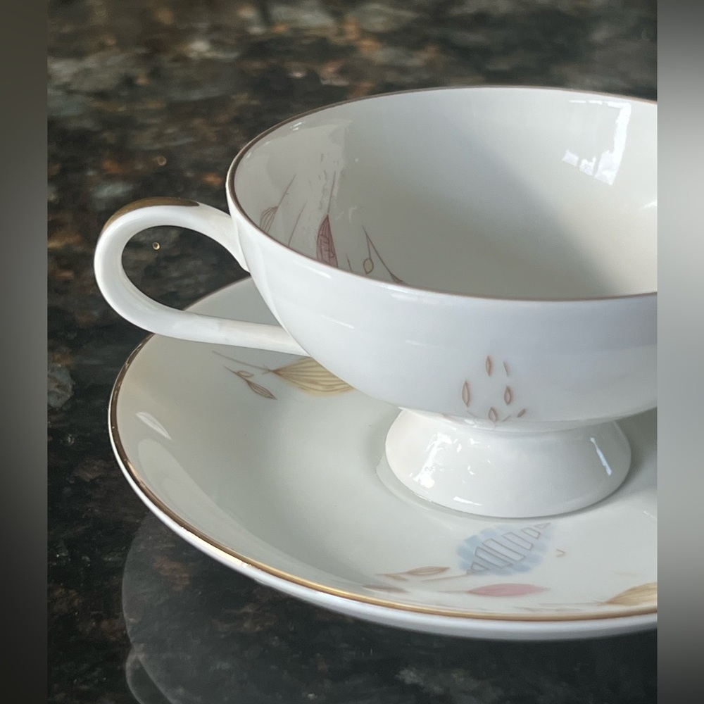 VINTAGE mid century Thomas Rosenthal Germany 🇩🇪 porcelain cup and saucer set